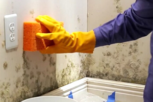 Solucion a humedades